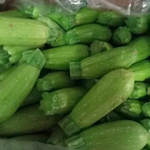 distribuidor-mayorista-calabacines-1