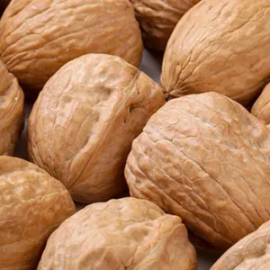 distribuidor-nueces-1