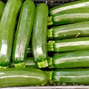 mayorista-calabacines-3