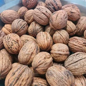 mayorista-nueces-1