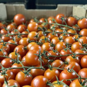 Cherry Tomaten 3kg
