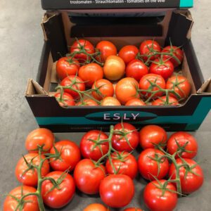 STRAUCHTOMATEN ESLY 5KG