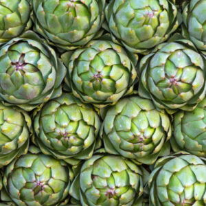 background with artichoke flower, photo use for design advertising, trade and more