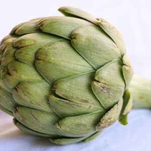 artichoke2-nema