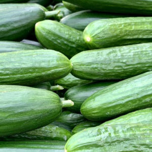 cucumber3-nema