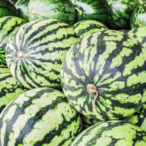 Fresh watermelons.